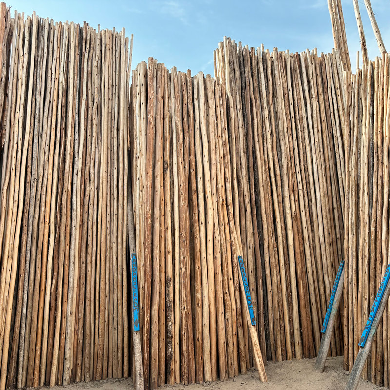 Palos de eucalipto